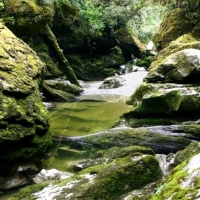 Cave Creek